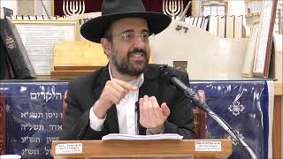 הרב מאיר אליהו |האם לשחרר מחבלים??