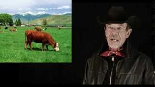 A Good IRA Investment - Cattle | CheckBook IRA LLC Video