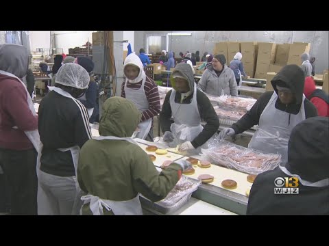 download lagu mp3 mp4 Youthworks Baltimore, download lagu Youthworks Baltimore gratis, unduh video klip Youthworks Baltimore