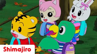 An Adventure in Daydream Forest! | Part Two | Adventure Episode | Shimajiro