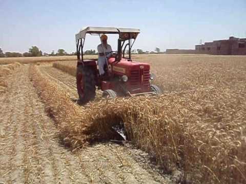 Working process of wheat cutter