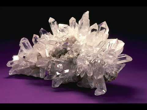 Palm Reader Denver co Psychic Laura (956) 357 - 8700