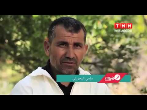 Dream Project - Episode 1: Al-Slougia, Beja