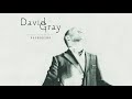 David Gray - Who's Singing Now (Official Audio)