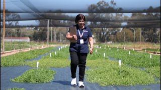 Advancing agricultural research and innovation: Dr Kawsar Salam
