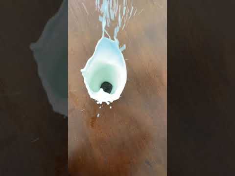 When you drop the entire Oreo in milk! #food #shorts