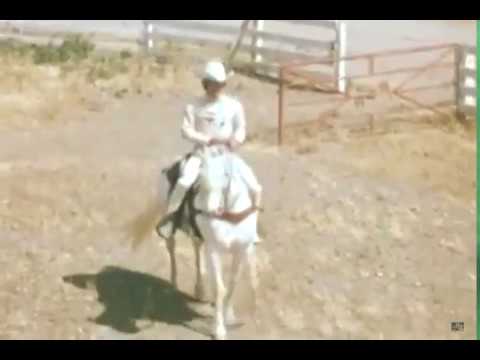 Glen Cambell - Rhinestone Cowboy (No. 1 Country Song of 1975)