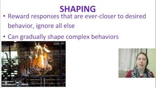 Operant Conditioning: Shaping