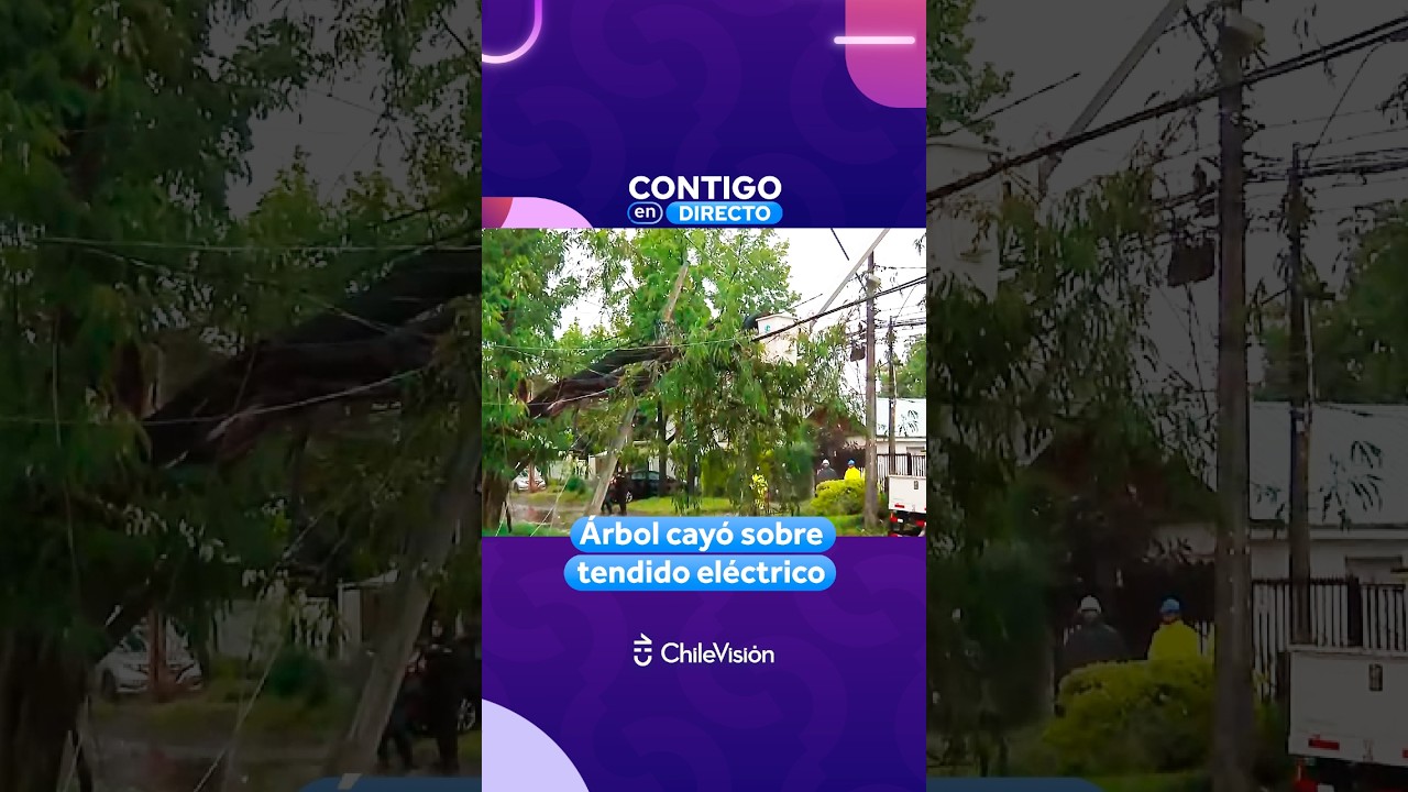 Árbol cayó sobre tendido eléctrico en La Reina