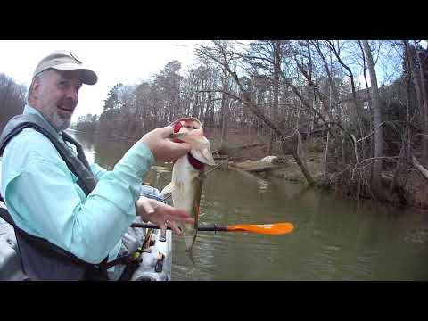 5lb 13oz.Bass Chattahoochee River ,Bull Sluice March 6 '22