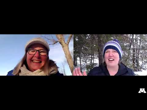 5.1  Boketto  The art of non-doing