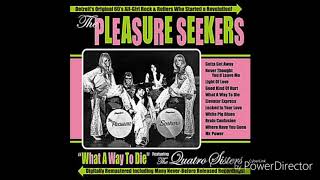 Pleasure Seekers-Mr. Power