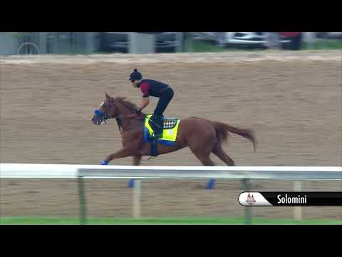 Solomini Gallop dirty 5.2.18