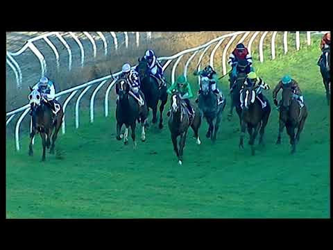 Napoli Galoppo 14/12/2021 - 5ª corsa