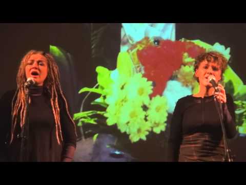 WITAJ CIERNIOWA KORONO