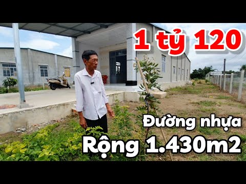 Bán nhà vườn 3 phòng ngủ đất rộng 1.430m2 mặt đường nhựa giá 1 tỷ 120 triệu ở xã Long Thuận Tây Ninh