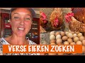 Verzorging van de kippen, katten en schildpad!  | DierenpraatTV