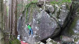 恵那 ダイヤモンド 1D