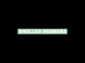 Swollen Members "Intro" Song Stream