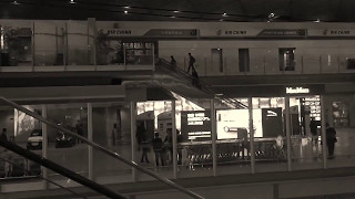 Foster + Partners designed the terminal building of Beijing Airport