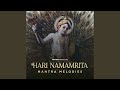Hare Krishna Kirtan 5