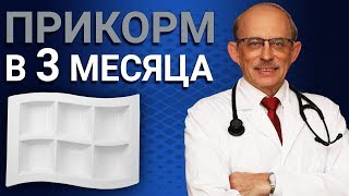 Первая прикормка грудничка в 3 месяца