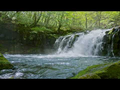 4k Fresh Forest Waterfall Sounds. Relaxing Mountain Waterfall, White Noise for sleeping 10 hours.