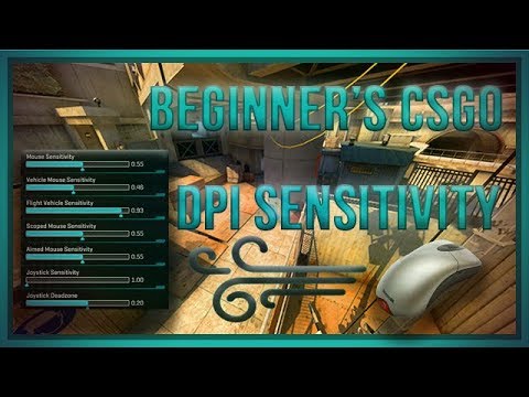 zorlaKOKA Beginner's CSGO - Dpi Sensitivity