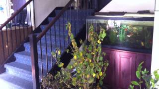 Economy Inn Express, Mount Carmel, IL   * Welcome To Our Motel *