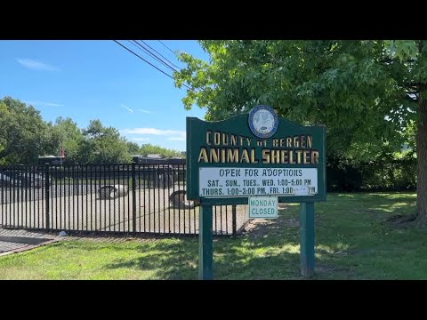 NJ Bergen County Animal Shelter & Adoption Center Addressing Pet Adoption