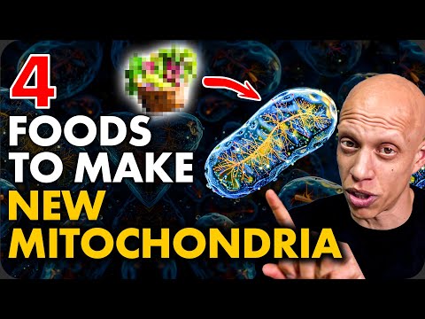 4 Foods to Make New Mitochondria (Scientific Proof) | Mastering Diabetes