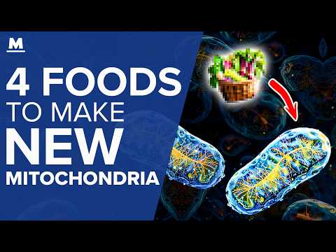 4 Foods to Make New Mitochondria (Scientific Proof) | Mastering Diabetes