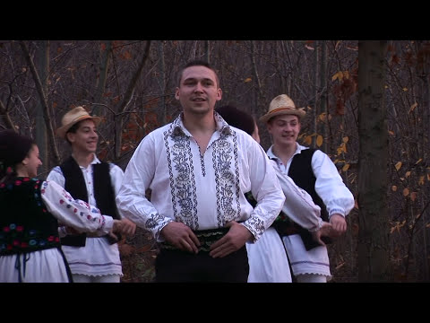 Catalin Stefan - Precinu adevarat