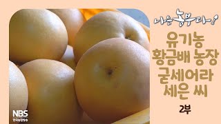 [나는농부다 271회 2부] 유기농 황금배 농장 굳세어라 세은 씨