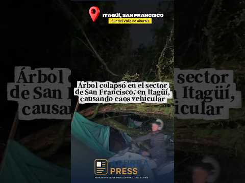 Árbol colapsó y bloquea vía en el sector San Francisco, Itagüí