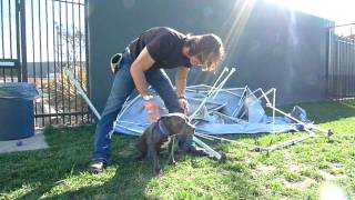 Sasha - Bound Angels Shelter Video Program