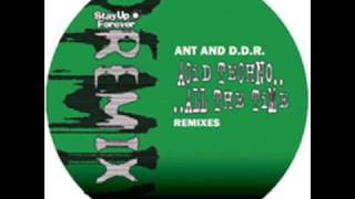 ANT and DDR - acid techno...all the time ( 2007 )