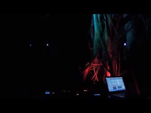 Penumbra Live - Insight Festival