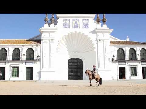 Clémence Faivre Luraschi