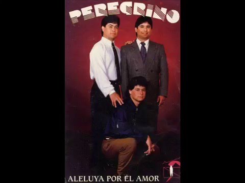 GRUPO PEREGRINO (Peligro)