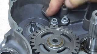 KTM 200 Kick Start noise from ratchet gears
