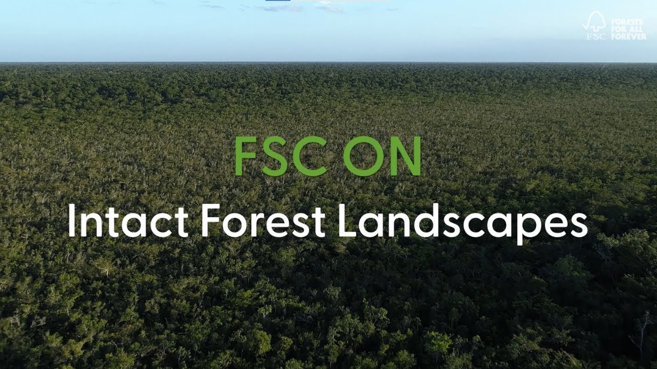 FSC on Intact Forest Landscapes