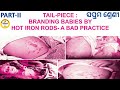 Branding Babies By Hot Iron Rods -A Bad Practice Class 7 English Explanation by Tapan Giri