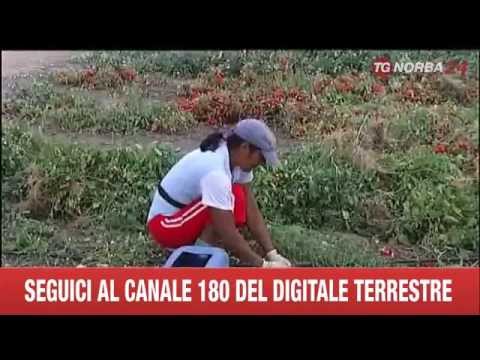Sul lato urto sul giunto punta sul crescente grumo Pomata sostituzione dellanca