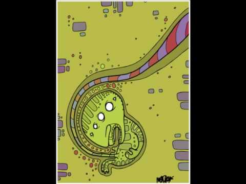 DZ - Just Rollin (Akira Kiteshi Rmx)