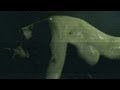 Resident Evil 6 Ada S Boobs