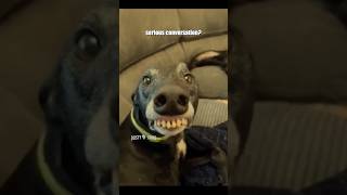 🤣 The Funniest Video You'll See Today 🤣