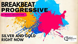 Download lagu DJ SILVER AND GOLD X RIGHT NOW mp3