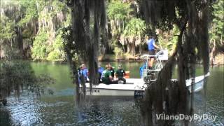preview picture of video 'Blue Spring State Park - Manatee View and Rescue'