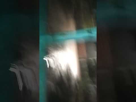 caindo granizo em canapi alagoas